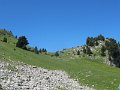 IMG_1858