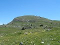 IMG_1860