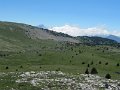 IMG_1861