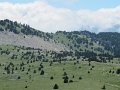 IMG_1862