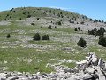 IMG_1863