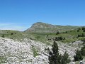 IMG_1893