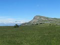 IMG_1895