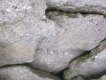 IMG_1900