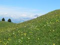 IMG_1906