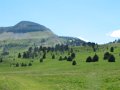IMG_1910