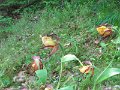 IMG_1913