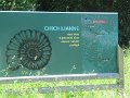 IMG_1926