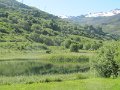 IMG_1959