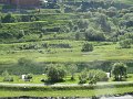 IMG_1966