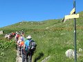 IMG_1974
