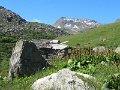 IMG_1976