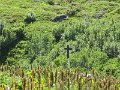 IMG_1977