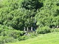IMG_1980