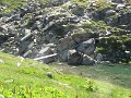 IMG_1988
