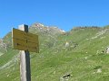 IMG_1990