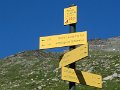 IMG_1995