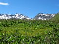 IMG_2003