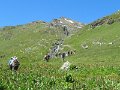 IMG_2004