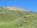 IMG_2013