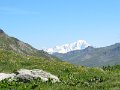 IMG_2014