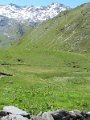 IMG_2015