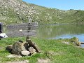 IMG_2017