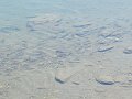 IMG_2020