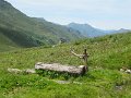 IMG_2072