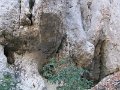 IMG_2823
