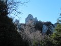 IMG_2827
