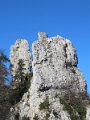 IMG_2841