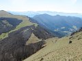 IMG_2856