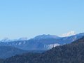 IMG_2860