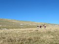 IMG_2863