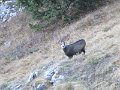IMG_2880
