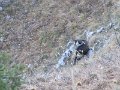 IMG_2881