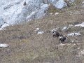 IMG_2884