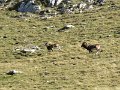 IMG_2887