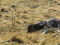 IMG_2898
