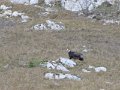 IMG_2904