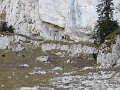 IMG_2906