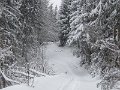 IMG_0003