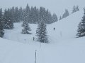 IMG_0009
