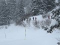 IMG_0017