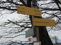 IMG_0019