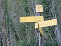 IMG_0011