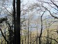 IMG_0017