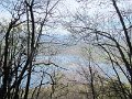 IMG_0019