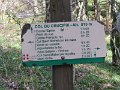IMG_0047